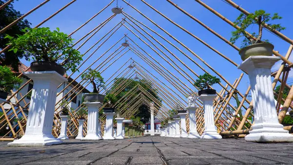 Bambudan yapılmış bir çerçeveyle Bonsai Bitki Sergisi Galerisi 'nin alt manzarası