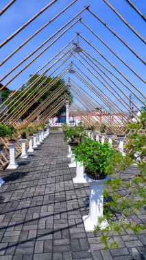 Fotoğrafta Bonsai ağaçlarıyla süslenmiş bir yol var. Yol, bambu direklerden yapılmış, gölgeli bir yürüyüş yolu oluşturmak için üçgen şeklinde düzenlenmiş benzersiz bir yapıyla kaplıdır.