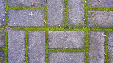 Kare taş kaldırımlar, uçurumda büyüyen yosunlarla, fotoğraf en tepeden çekiliyor.