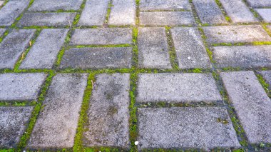Kare taştan yapılmış kaldırım yüzeyinin perspektif görüntüsü ve yeşil yosunlarla kaplı.