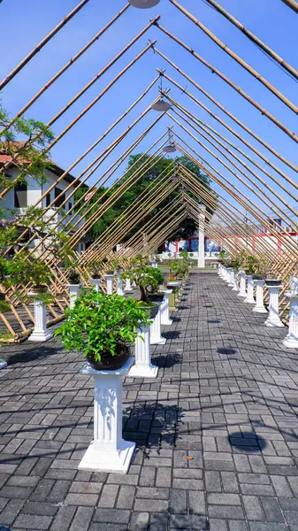 Bonsai ağaçlarıyla süslenmiş kaldırım yolu. Bu yol bambu direğinden yapılmış, gölgeli bir yol yapmak için üçgen şeklinde düzenlenmiş benzersiz bir yapıyla kaplıdır.