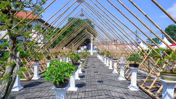 Fotoğrafta yolu bonsai ağacıyla kaplanmış olarak gösteriyor. Bu yol bambu direğinden yapılmış bir yapıyla kaplıdır. Üçgen bir desen ile düzenlenir ve bir tepe örtüsü oluşturur.