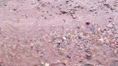 Yağmur damlalarının ıslaklığı ve su birikintisinin küçük taşlar ve molozlarla kaplı olduğu yakın çekim görüntüsü.