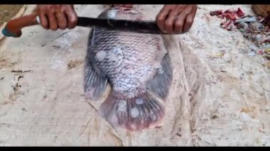 4K Yetenekli Eller Keskin Bıçak Kullanarak Taze Balık Temizliyor