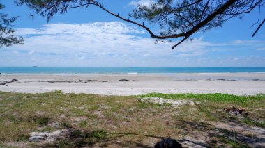 Temiz kumlu bir sahil manzarası, turkuaz bir su ve zarif eru ağacı dalları tarafından çerçevelenmiş yemyeşil bir ön plan.