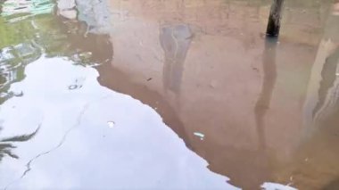 Bulanık, dalgalı bir su havuzu. Çevredeki binaların ve ağaçların manzarasını yansıtıyor.