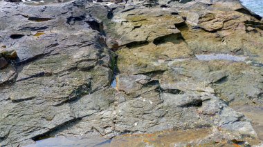 Gri, krem ve kahverengilerin karışımı ile kayalık yüzeyin karmaşık dokusunu ve desenlerini gösteren çarpıcı bir yakın çekim..