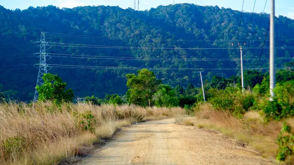 Yoğun ormanlık bir tepeye çıkan yolun manzarası patikanın her iki tarafında uzun kuru otlar ve gökyüzünde uzanan yüksek voltajlı elektrik hatları..
