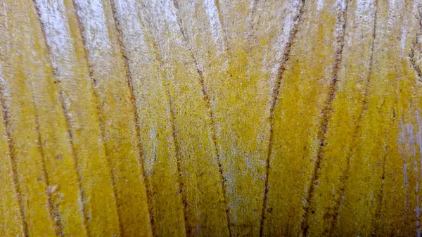 Yüksek çözünürlüklü sarı kurutulmuş muz yaprağının doğal çizgileri ve dokusuyla makro görüntüsü