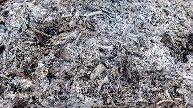 Yangından sonra yanmış kül ve organik enkaz yığınının yüksek çözünürlüklü yakın çekim görüntüsü.