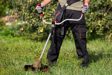 Gardening concept. Man cutting the lawn with grass trimmer.