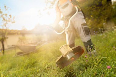 Close up of man using grass trimmer for cutting lawn in his garden on sunny summer day.