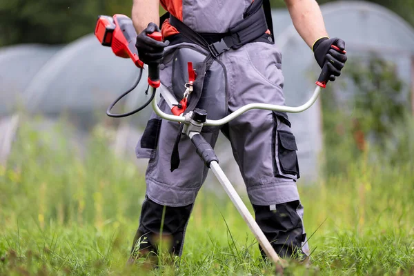 Man in protective clothes mowing green grass with cordless lawn trimmer in garden
