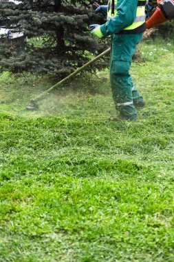 Yeşil üniformalı bir işçi çam ağacının etrafındaki çimleri budamak için bir yabani ot yetiştirici kullanıyor.
