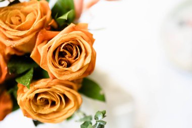 Turuncu güllerden oluşan çarpıcı bir düzenleme, yumuşak ve nötr bir ortamda sabah çiğ ile parıldayan, karmaşık yapraklarını ve yemyeşil yapraklarını sergiliyor..