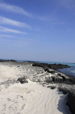 Baltık Denizi 'nin kumlu sahilinin güzel bir görüntüsü. Arkasında bulutlu bir gökyüzü var.