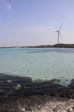 Rüzgar türbini çiftliği ve deniz kıyısı, yukarıdan görüş