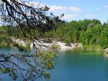 Bereketli yeşil ağaçlar ve kayalık kıyılarla çevrili kristal berraklığında bir göl içeren huzurlu doğal bir manzara..