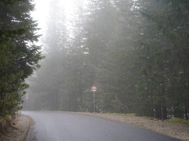 Arka planda karla kaplı zirveleri olan yemyeşil ormanların arasında dolanan sisli bir dağ yolu.