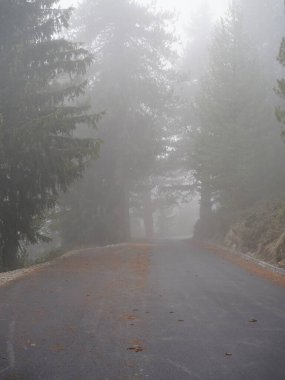 Puslu bir dağ yolu, yemyeşil ormanların arasında kıvrılıyor, karla kaplı zirveleri olan.