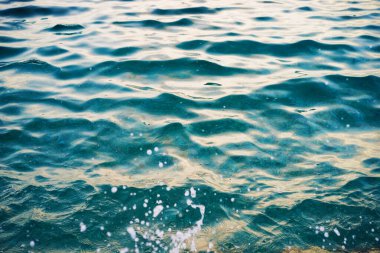 Kırsal bir ahşap pencere yemyeşil bir araziye açılıyor, temiz hava ve doğal ışığı davet ediyor..