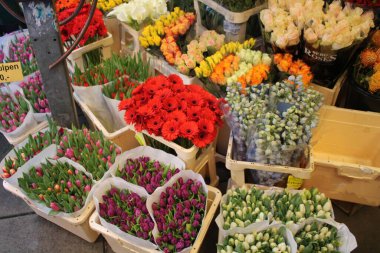 A vibrant display of colorful tulips at a flower market in the Netherlands. The fresh tulips, arranged in baskets, create a stunning visual with shades of red, pink, yellow, blue, and purple. clipart