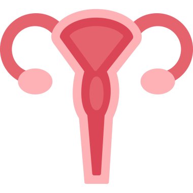 Web kullanımı için Rahim Simgesi, Vektör İllüstrasyonu