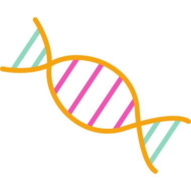 DNA molekülü vektör gösterimi