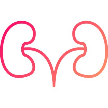 İnsan kalbi organı