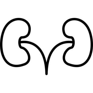 Böbrek ikonu. İnce çizgi tasarımı. vektör grafik illüstrasyonu.