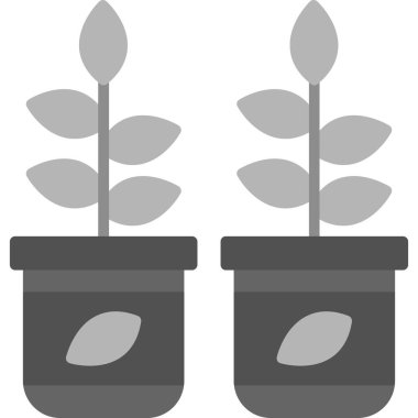 saksı bitkileri vektör tasarımı