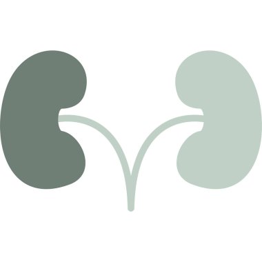 Böbrek. Web simgesi basit illüstrasyon