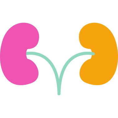 Böbrek. Web simgesi basit illüstrasyon