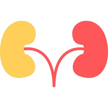 Böbrek. Web simgesi basit illüstrasyon