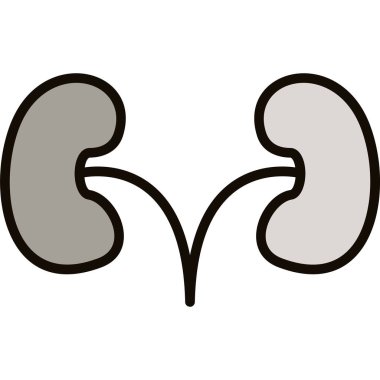 Böbrek organ ikonu. böbrek organ ikonu rengi düz izole