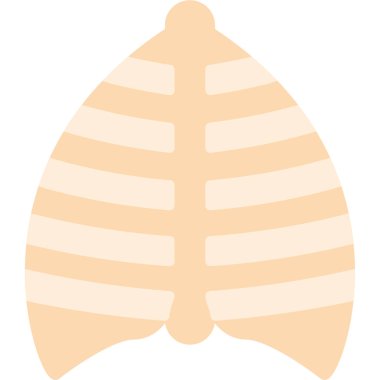 akciğerler insan anatomisi simgesi