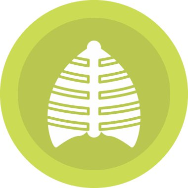 İnsan solunum sisteminin vektör çizimi