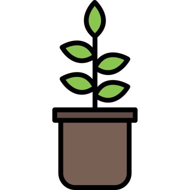 Saksı bitkisi ikonu. Web için saksı bitkisi vektör simgesinin özeti