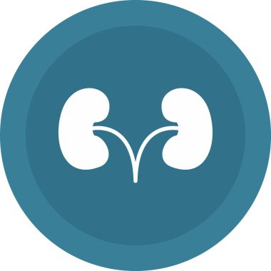 Beyaz arkaplanda böbrek yassı ikon vektörü