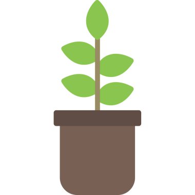 Saksıda bitki var. vektör illüstrasyonu