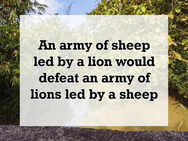 Anglické Přísloví Citace Textu Pozadím Armáda Ovcí Vedená Lvem Porazila — Stock fotografie