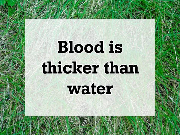 Anglické Přísloví Citace Textu Pozadím Krev Hustší Než Voda — Stock fotografie