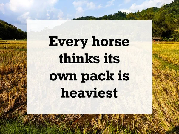 Anglická Příslovečná Citace Pozadím Každý Kůň Myslí Jeho Smečka Nejtěžší — Stock fotografie