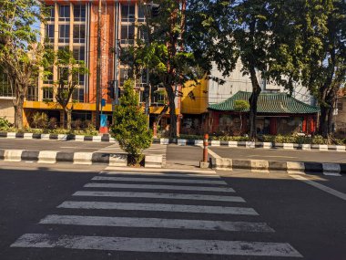 Bir zebrayla, insanların karşıya geçebileceği bir yer.