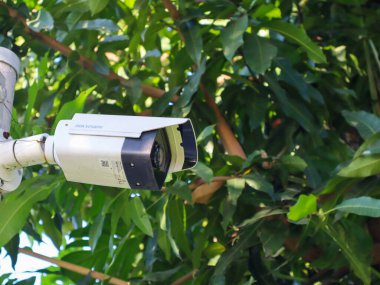 CCTV kamerası açık hava parkındaki bir direğe yerleştirilmiş.