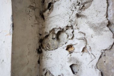 Yıpranmış beyaz duvarı kapat