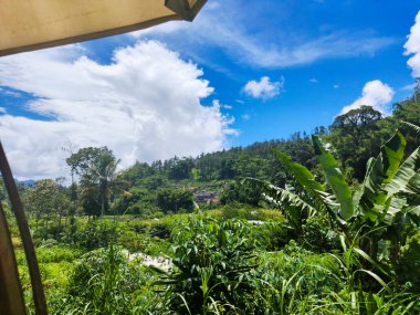 Malang, Endonezya 'da doğanın bir görüntüsü