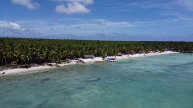 Karayipler 'de bir adada vahşi bir sahil. 