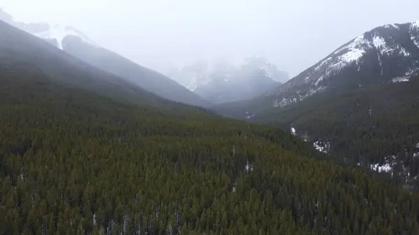 Kanada 'da bir ulusal parka kar yağışı vurdu. Alberta Bölgesi