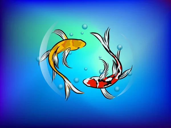Peixes Koi Nadando Redor Perseguindo Uns Aos Outros —  Vetores de Stock